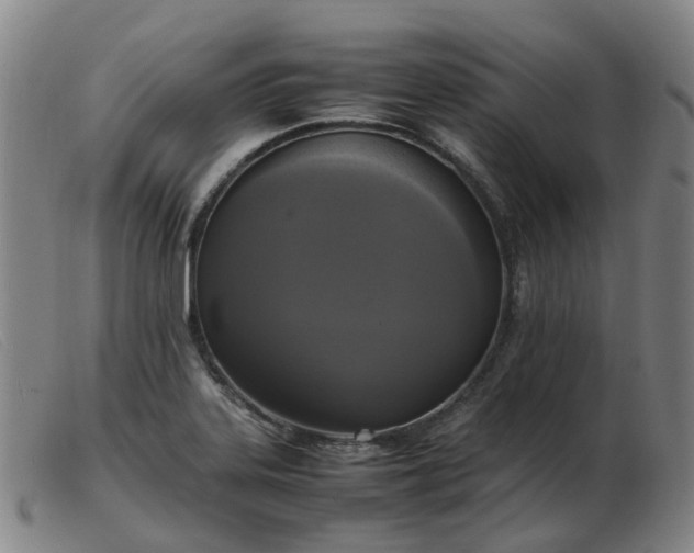 X0000103451323200809191738