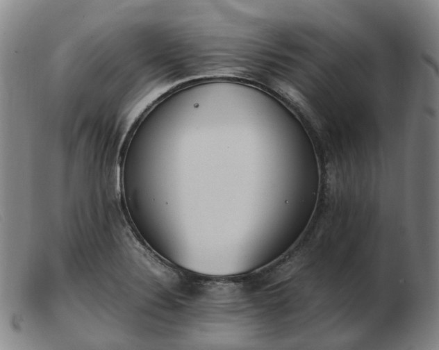 X0000103451324200809191738