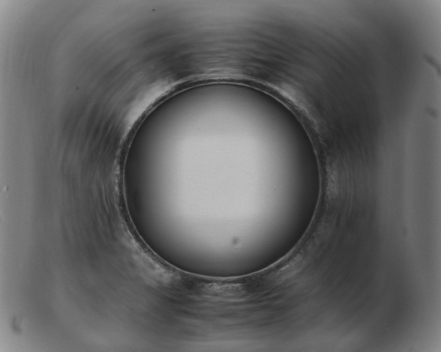 X0000103451325200809191738