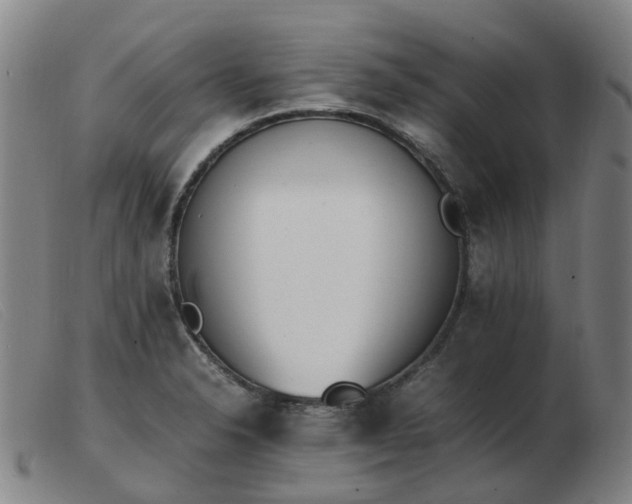 X0000103451326200809191738
