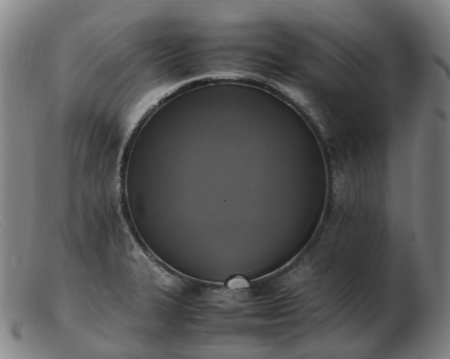 X0000103451327200809191738