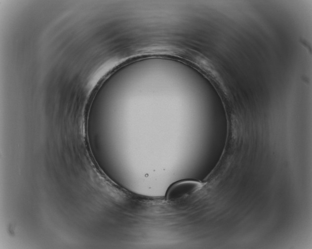X0000103451328200809191738