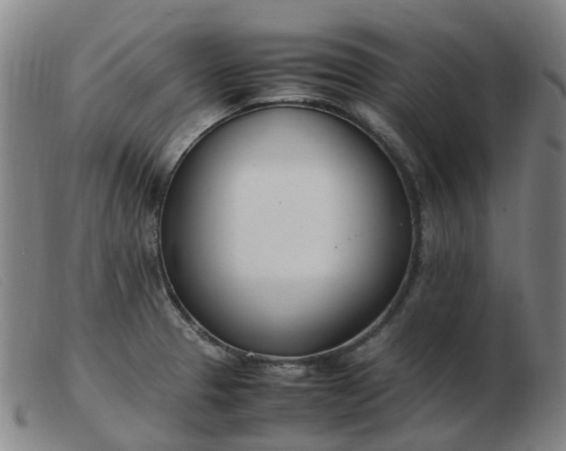 X0000103451329200809191738
