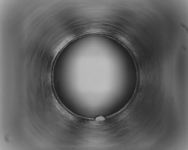 X0000103451330200809191738