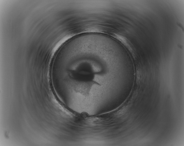 X0000103451331200809191738