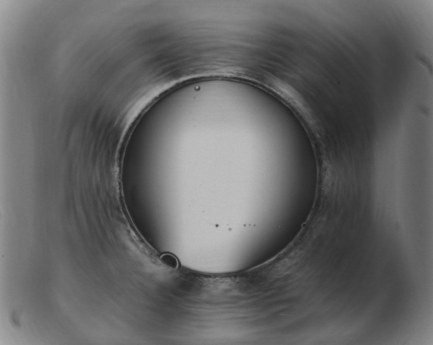 X0000103451332200809191738