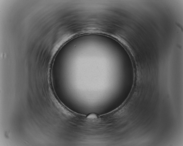 X0000103451333200809191738