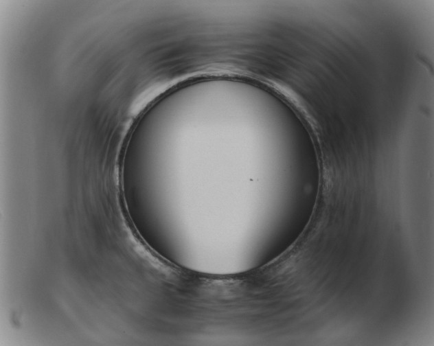 X0000103451335200809191739