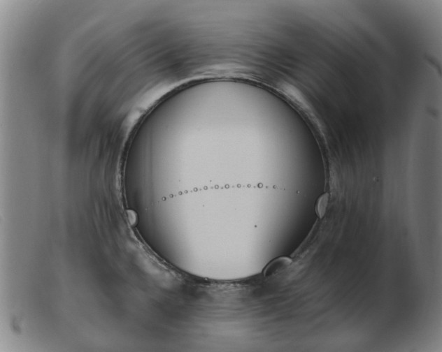 X0000103451336200809191739
