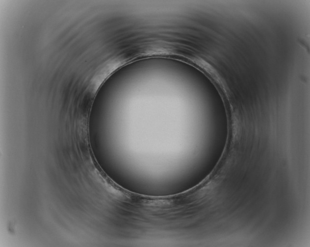 X0000103451337200809191739