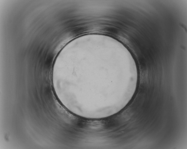 X0000103451338200809191739