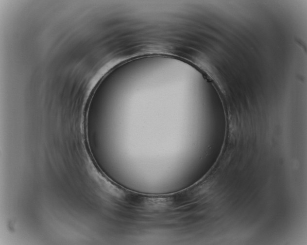 X0000103451339200809191739