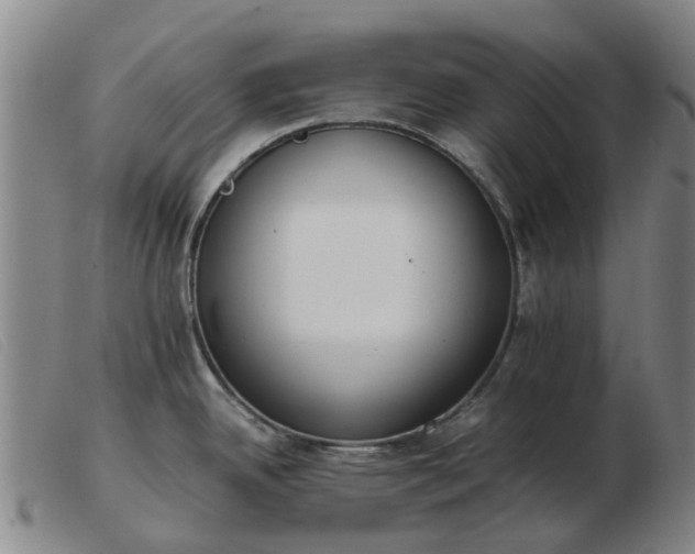 X0000103451342200809191739