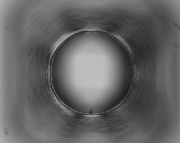 X0000103451343200809191739