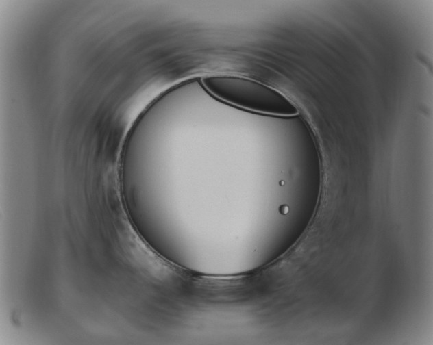 X0000103451344200809191739