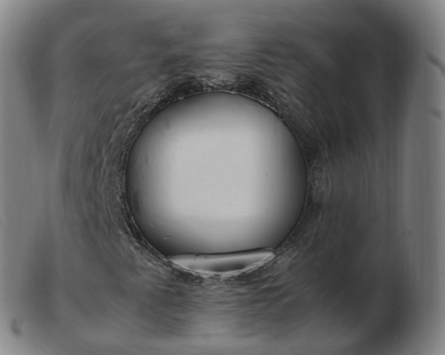 X0000103451345200809191738