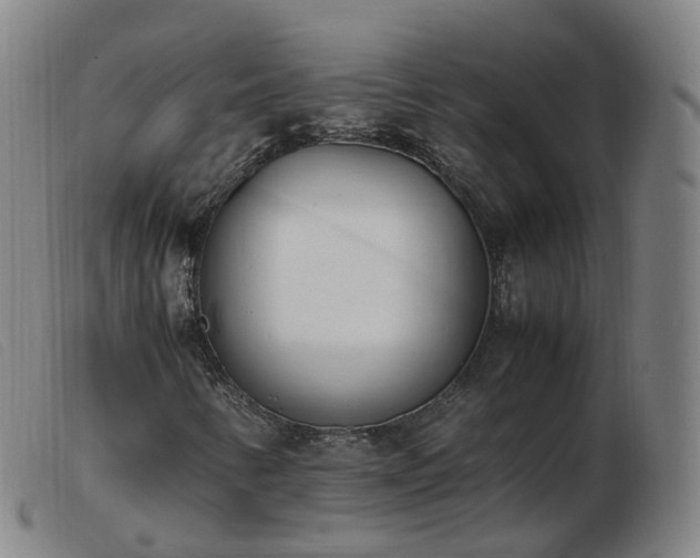 X0000103451346200809191738
