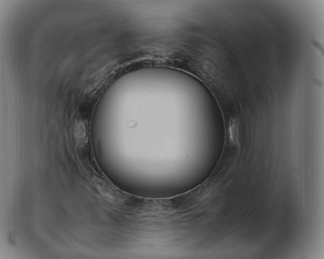 X0000103451347200809191738