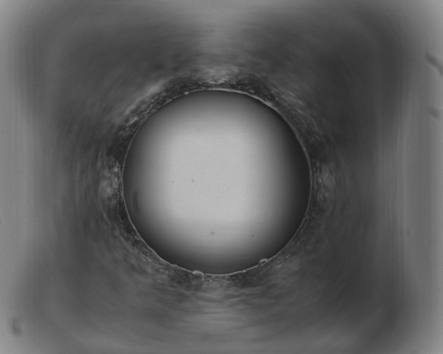 X0000103451349200809191738