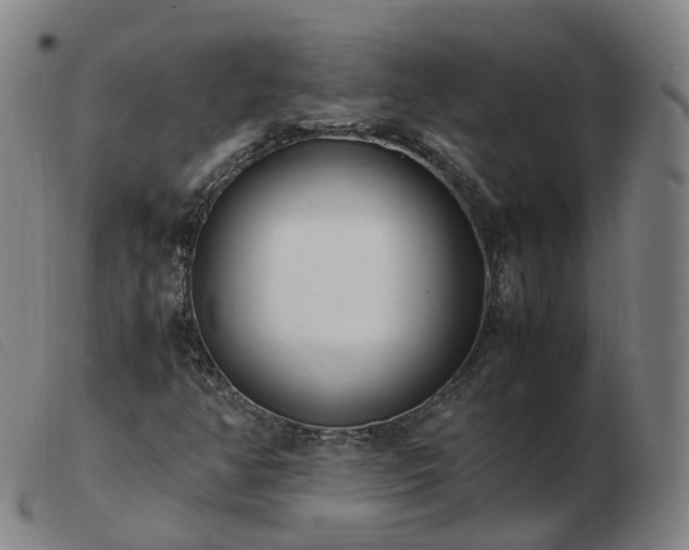 X0000103451350200809191738