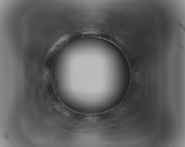 X0000103451351200809191738