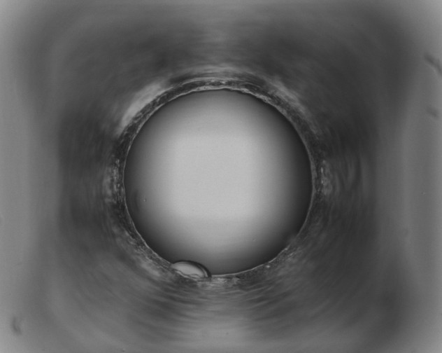 X0000103451352200809191738