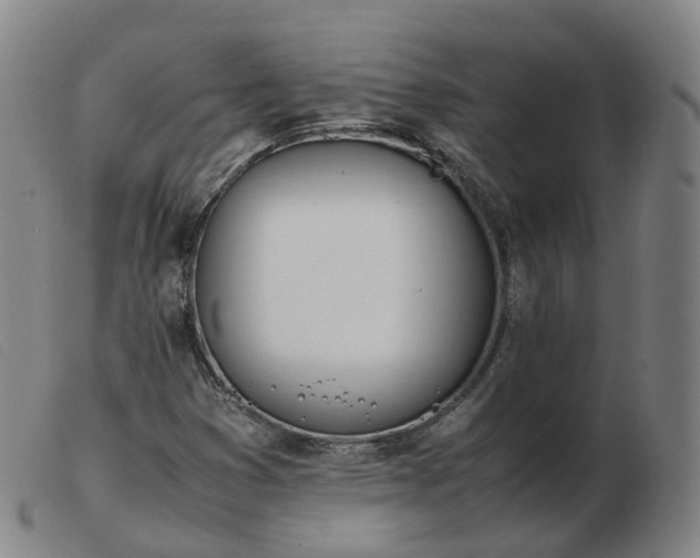 X0000103451353200809191738
