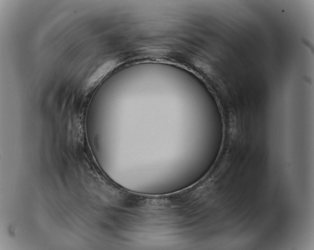 X0000103451354200809191738