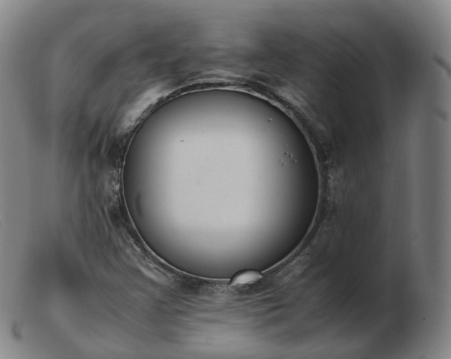 X0000103451355200809191738