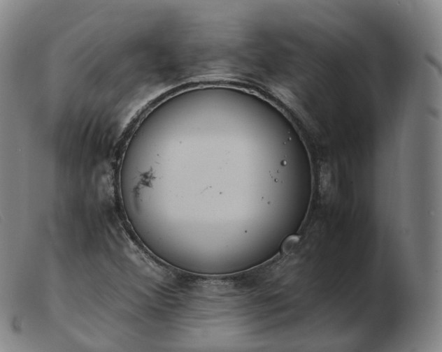 X0000103451356200809191738