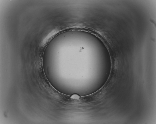 X0000103451359200809191738