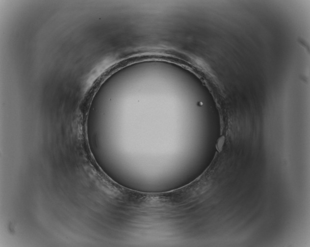X0000103451360200809191738