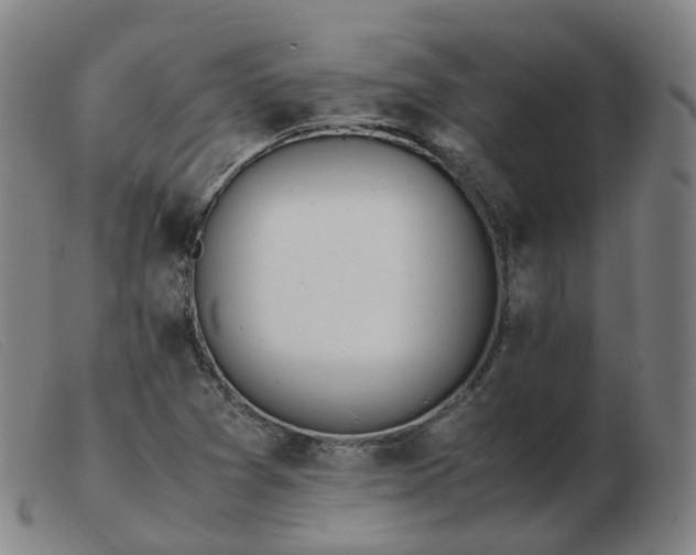X0000103451361200809191738