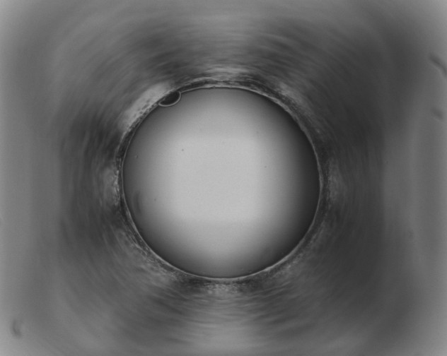 X0000103451362200809191738