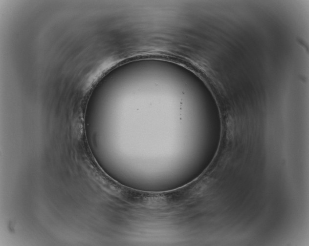 X0000103451363200809191738