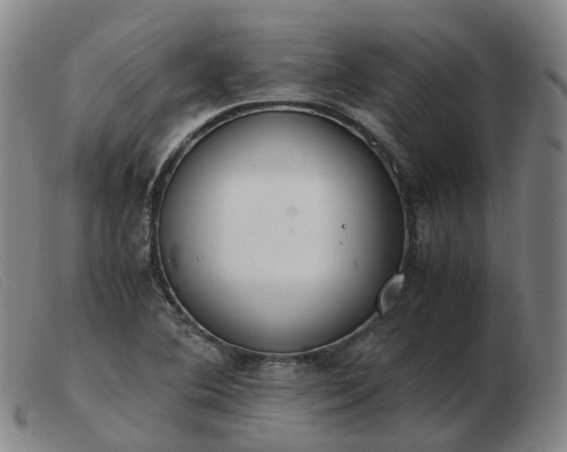 X0000103451364200809191738