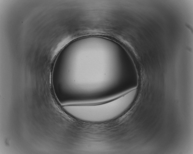X0000103451365200809191738
