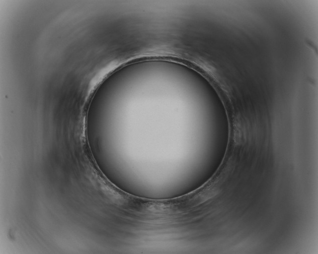 X0000103451366200809191738