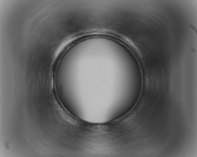 X0000103451368200809191737