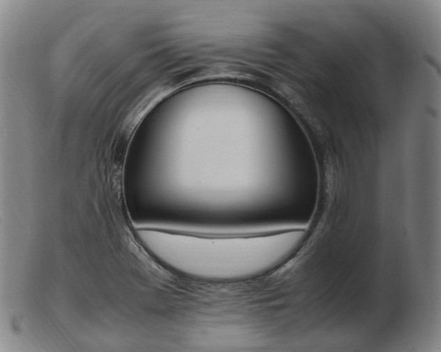 X0000103451369200809191737