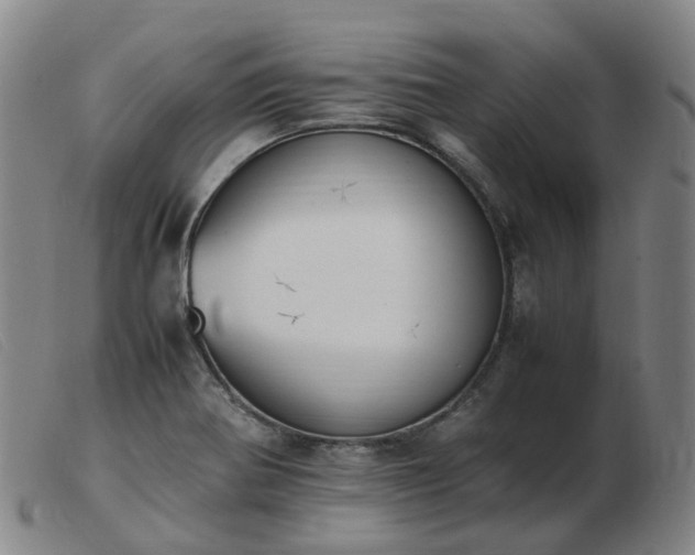 X0000103451370200809191737