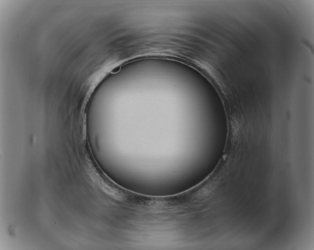 X0000103451371200809191737