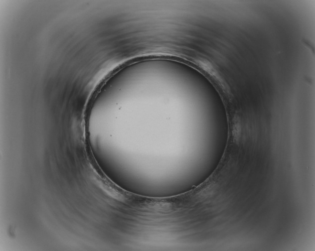 X0000103451372200809191737