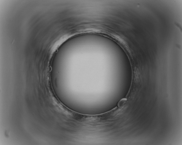 X0000103451373200809191737