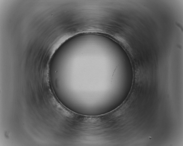 X0000103451374200809191737