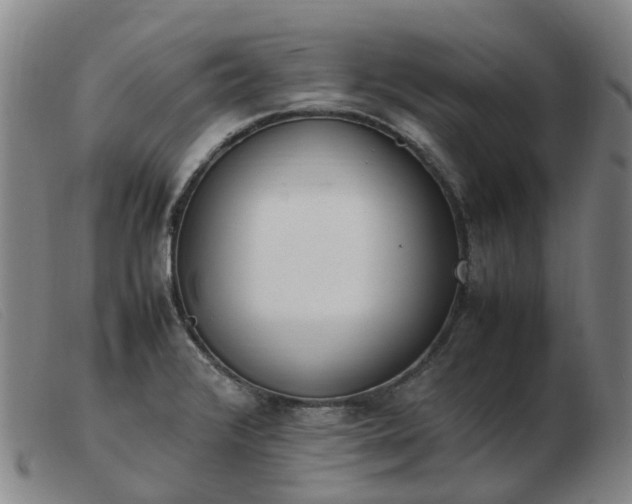 X0000103451376200809191737
