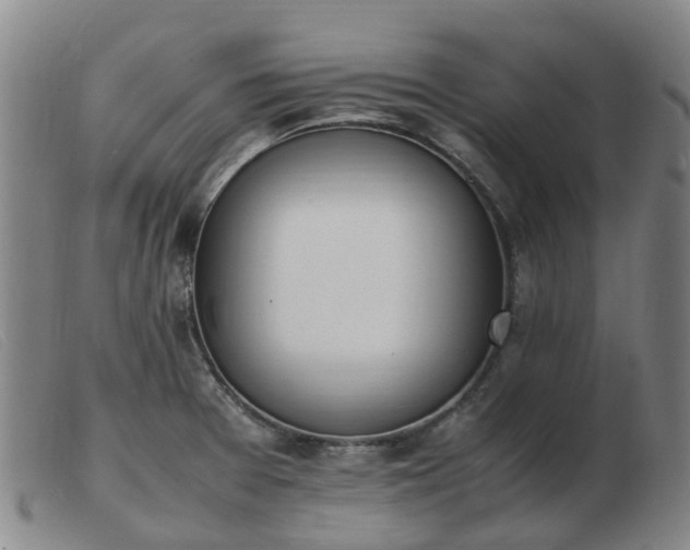 X0000103451377200809191737