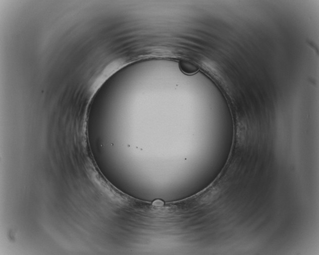 X0000103451378200809191737