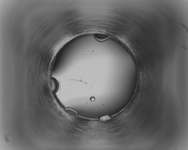 X0000103451379200809191737