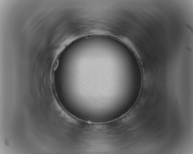 X0000103451381200809191737